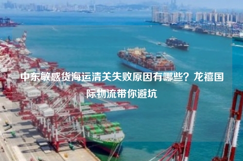 中东敏感货海运清关失败原因有哪些?龙禧国际物流带你避坑
