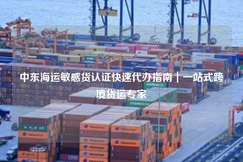 中东海运敏感货认证快速代办指南|一站式跨境货运专家