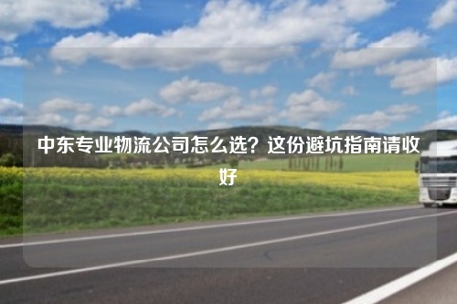 中东专业物流公司怎么选?这份避坑指南请收好
