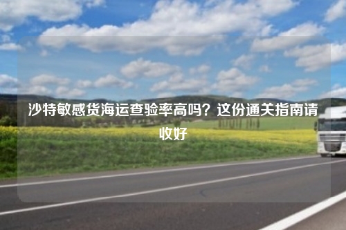 沙特敏感货海运查验率高吗?这份通关指南请收好