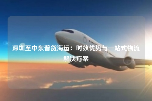 深圳至中东普货海运：时效优势与一站式物流解决方案