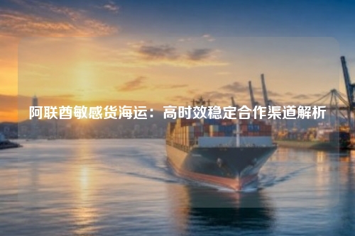 阿联酋敏感货海运:高时效稳定合作渠道解析