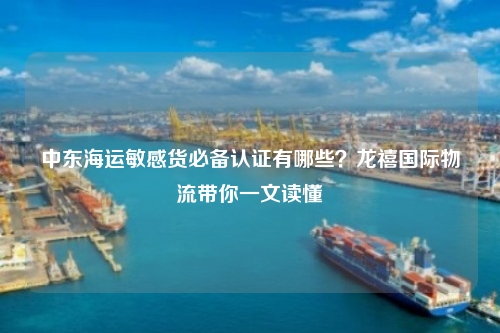 中东海运敏感货必备认证有哪些？龙禧国际物流带你一文读懂