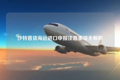 沙特普货海运进口申报注意事项全解析