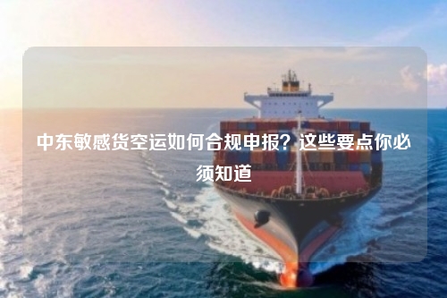 中东敏感货空运如何合规申报?这些要点你必须知道