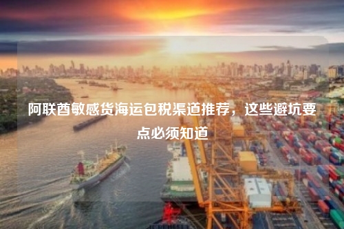 阿联酋敏感货海运包税渠道推荐,这些避坑要点必须知道