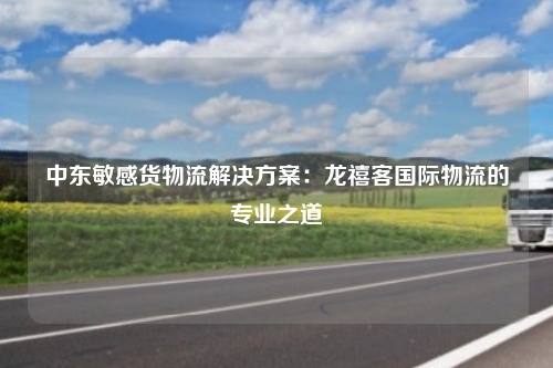中东敏感货物流解决方案:龙禧客国际物流的专业之道