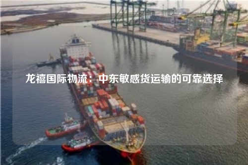 龙禧国际物流:中东敏感货运输的可靠选择