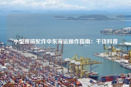小型带磁配件中东海运操作指南：干货科普