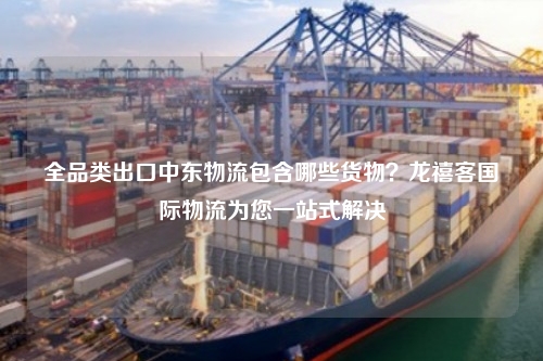 全品类出口中东物流包含哪些货物?龙禧客国际物流为您一站式解决