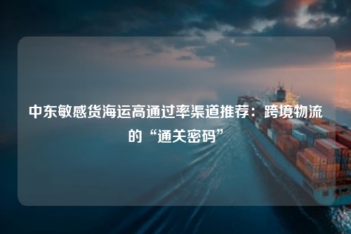 中东敏感货海运高通过率渠道推荐：跨境物流的“通关密码”