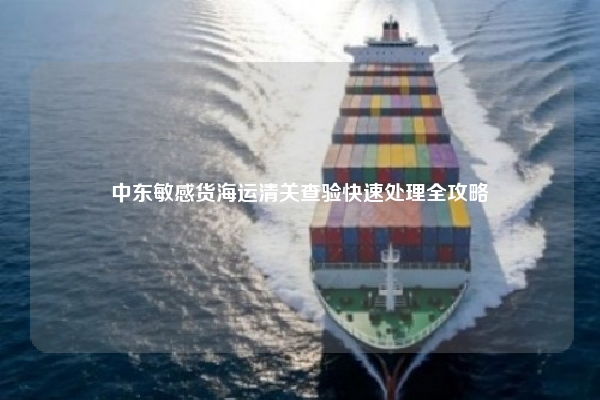 中东敏感货海运清关查验快速处理全攻略