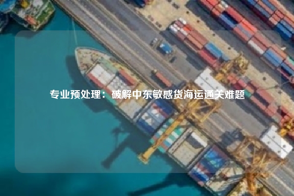 专业预处理：破解中东敏感货海运通关难题
