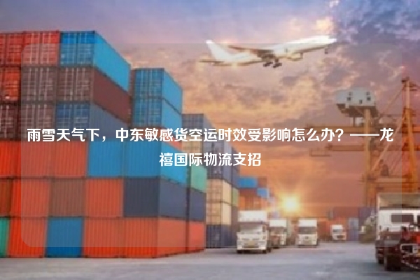 雨雪天气下,中东敏感货空运时效受影响怎么办?——龙禧国际物流支招