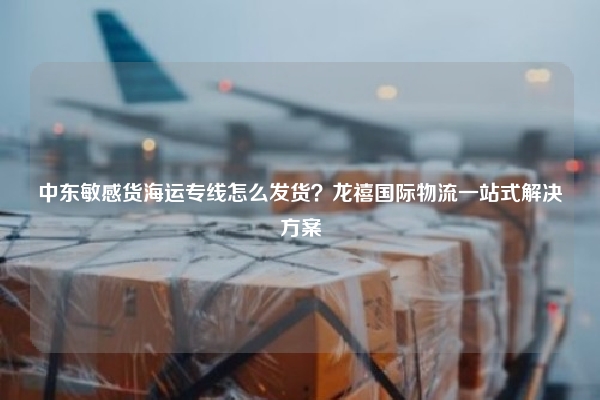 中东敏感货海运专线怎么发货？龙禧国际物流一站式解决方案