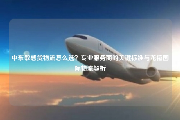 中东敏感货物流怎么选?专业服务商的关键标准与龙禧国际物流解析