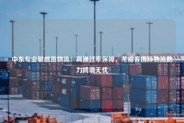 中东专业敏感货物流:高通过率保障,龙禧客国际物流助力跨境无忧