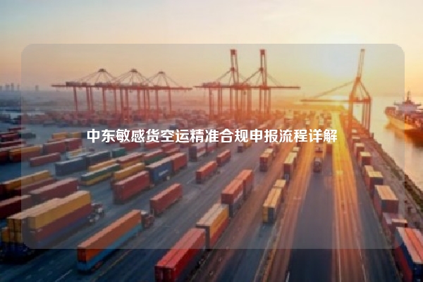 中东敏感货空运精准合规申报流程详解