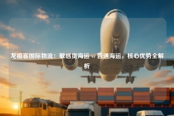龙禧客国际物流：敏感货海运 vs 普通海运，核心优势全解析