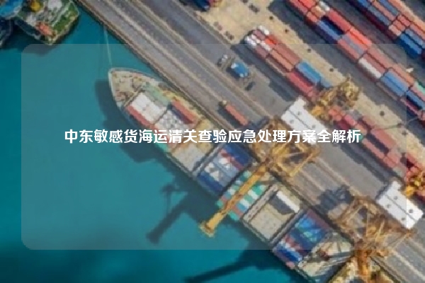 中东敏感货海运清关查验应急处理方案全解析