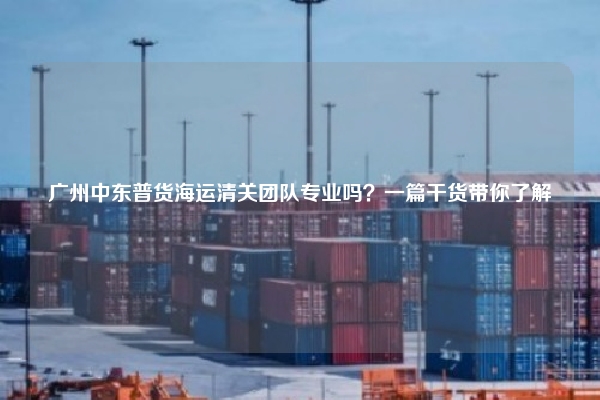 广州中东普货海运清关团队专业吗?一篇干货带你了解