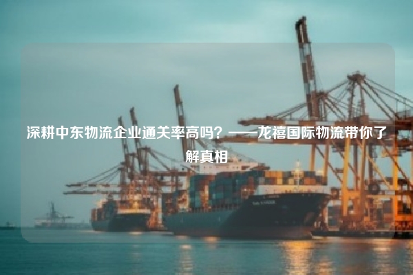 深耕中东物流企业通关率高吗？——龙禧国际物流带你了解真相