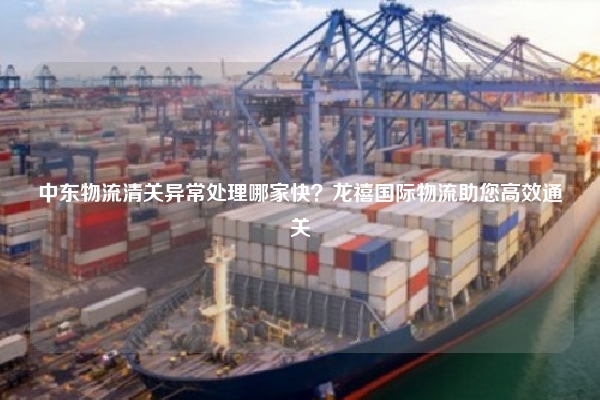 中东物流清关异常处理哪家快？龙禧国际物流助您高效通关