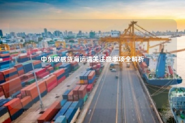 中东敏感货海运清关注意事项全解析