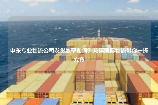 中东专业物流公司发货效率如何？龙禧国际物流带你一探究竟