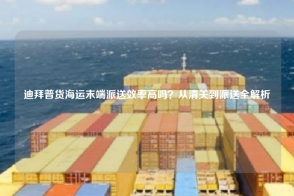 迪拜普货海运末端派送效率高吗？从清关到派送全解析