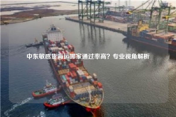 中东敏感货海运哪家通过率高？专业视角解析