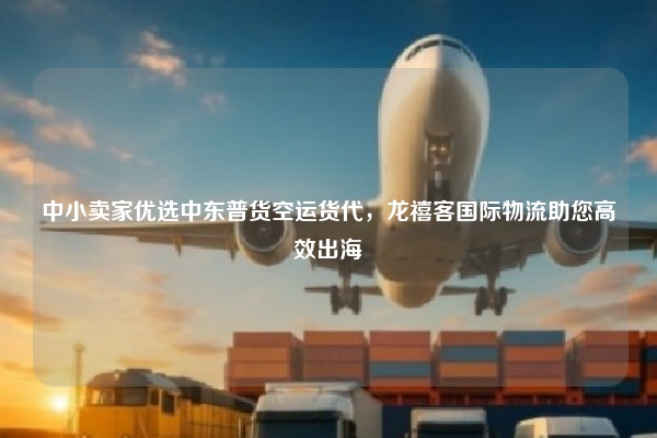 中小卖家优选中东普货空运货代，龙禧客国际物流助您高效出海
