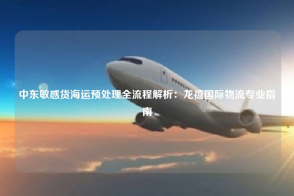 中东敏感货海运预处理全流程解析：龙禧国际物流专业指南
