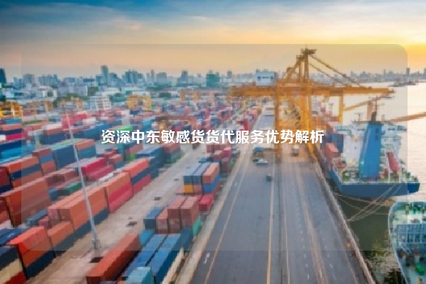 资深中东敏感货货代服务优势解析