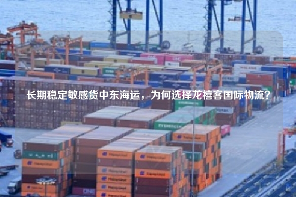 长期稳定敏感货中东海运,为何选择龙禧客国际物流?