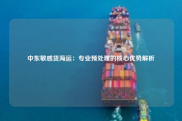 中东敏感货海运：专业预处理的核心优势解析
