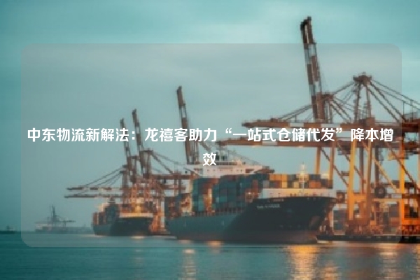 中东物流新解法:龙禧客助力“一站式仓储代发”降本增效