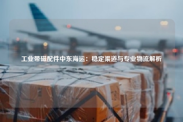 工业带磁配件中东海运：稳定渠道与专业物流解析