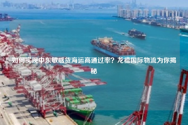 如何实现中东敏感货海运高通过率？龙禧国际物流为你揭秘