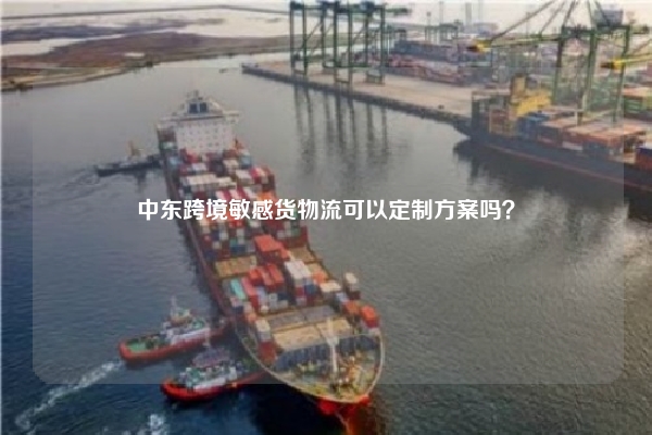 中东跨境敏感货物流可以定制方案吗？