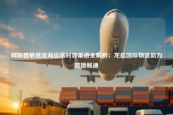 阿联酋敏感货海运高时效渠道全解析：龙禧国际物流助力跨境畅通