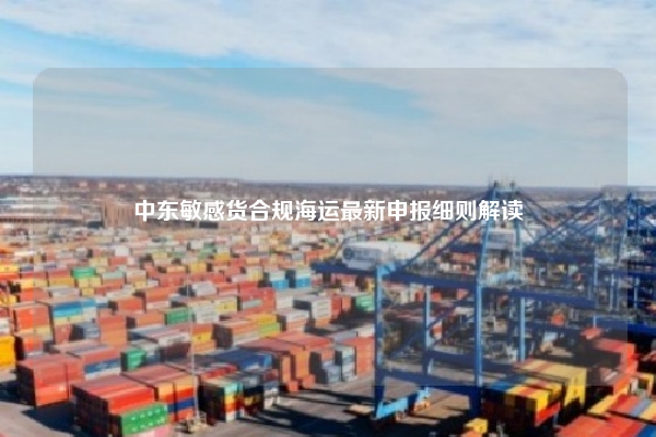 中东敏感货合规海运最新申报细则解读