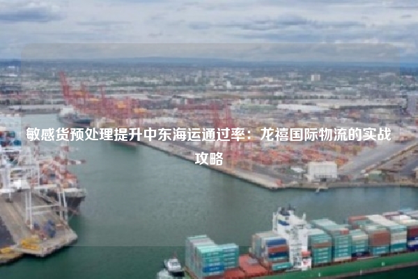 敏感货预处理提升中东海运通过率：龙禧国际物流的实战攻略