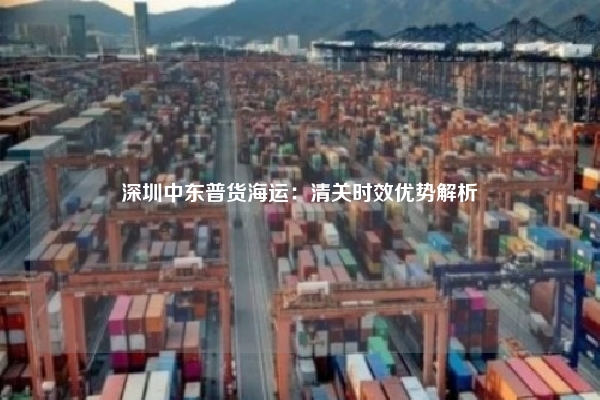 深圳中东普货海运:清关时效优势解析