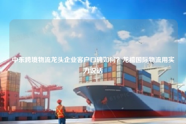 中东跨境物流龙头企业客户口碑如何？龙禧国际物流用实力说话