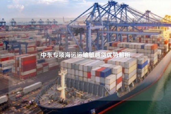 中东专项海运运输敏感货优势解析