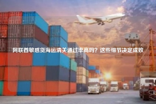 阿联酋敏感货海运清关通过率高吗?这些细节决定成败