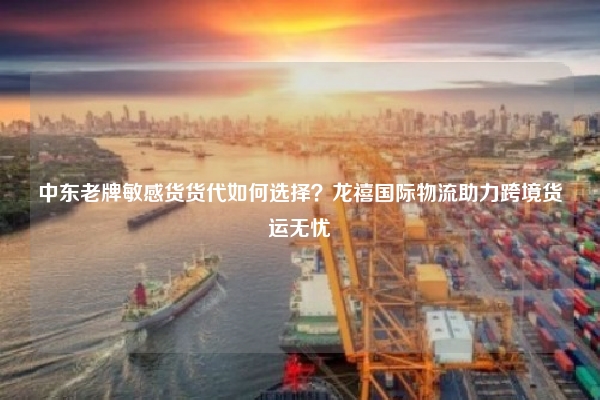 中东老牌敏感货货代如何选择?龙禧国际物流助力跨境货运无忧
