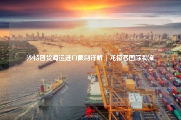 沙特普货海运进口限制详解 | 龙禧客国际物流